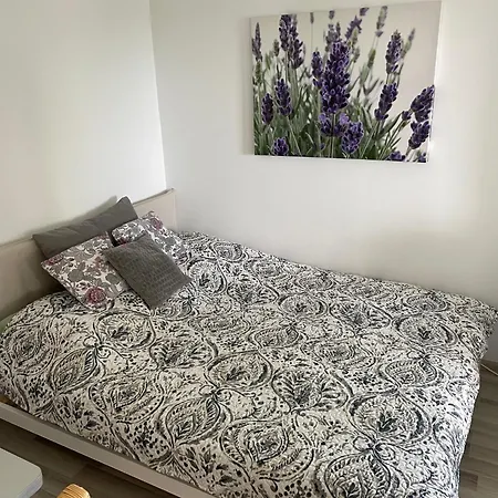 Na Wzgorzu - Park Narodowy Bory Tucholskie *