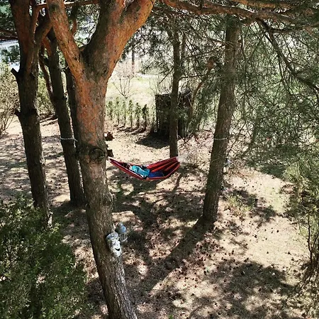 Na Wzgorzu - Park Narodowy Bory Tucholskie Prázdninový dům