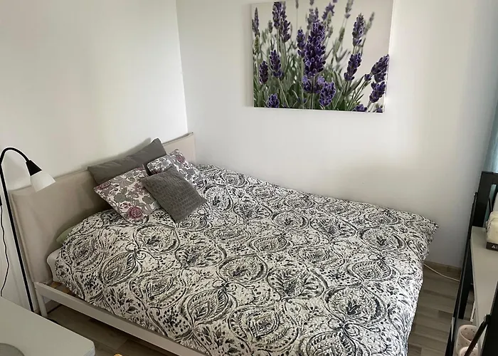 Na Wzgorzu - Park Narodowy Bory Tucholskie *