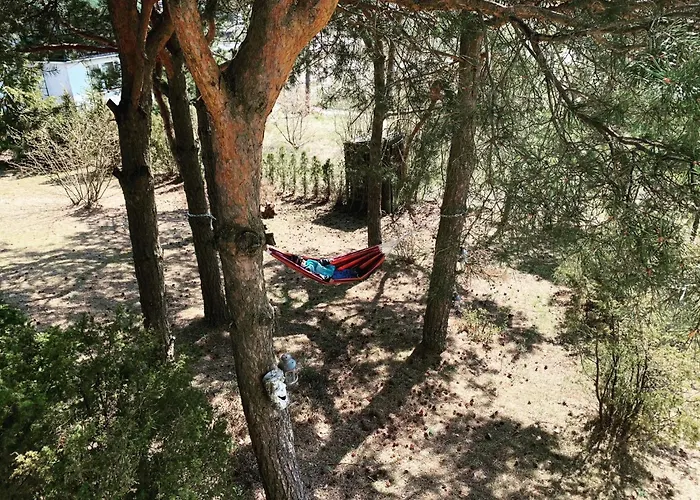 Na Wzgorzu - Park Narodowy Bory Tucholskie Prázdninový dům